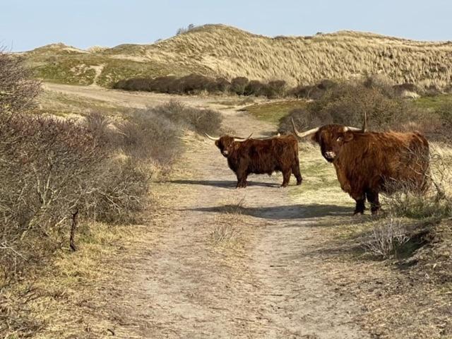 Bundi Beach Egmond aan Zee Luaran gambar